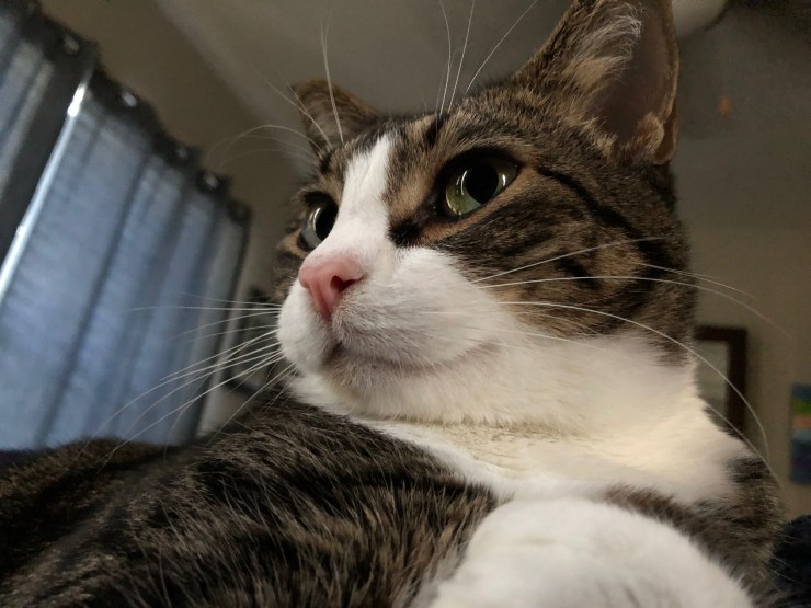 File Dec 19, 3 30 00 PM