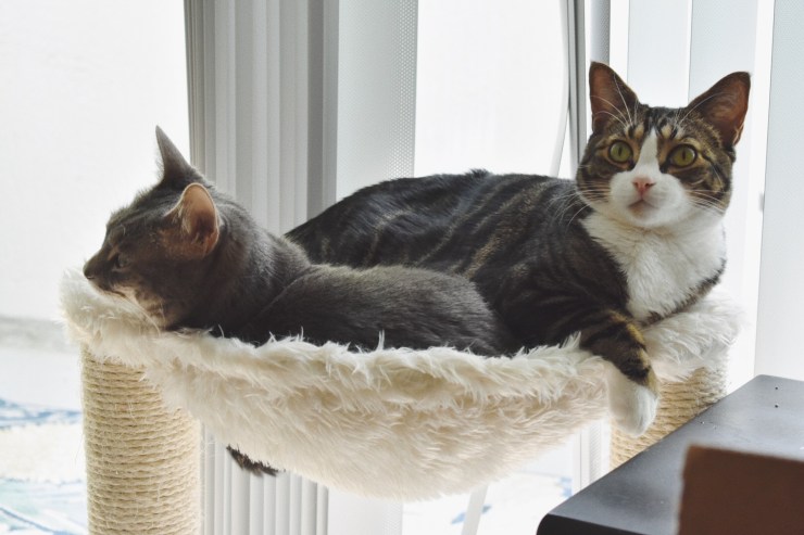 Processed with VSCO with f2 preset